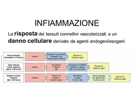 INFIAMMAZIONE La risposta dei tessuti connettivi vascolarizzati a un danno cellulare derivato da agenti endogeni/esogeni.