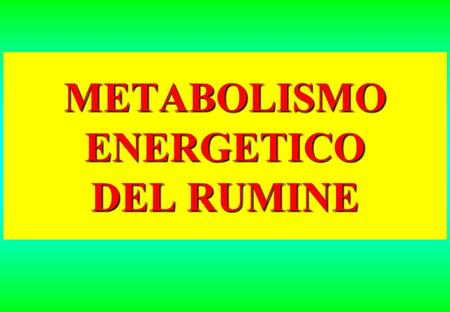 METABOLISMO ENERGETICO DEL RUMINE