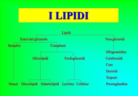 I LIPIDI Lipidi Esteri del glicerolo Non gliceridi Semplici Complessi