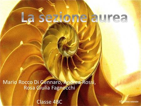 Mario Rocco Di Gennaro, Andrea Rossi, Rosa Giulia Fagnocchi Classe 4BC
