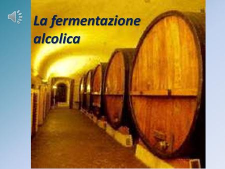 La fermentazione alcolica