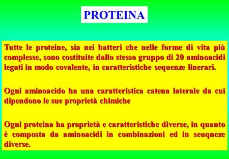 PROTEINA Tutte le proteine, sia nei batteri che nelle forme di vita più complesse, sono costituite dallo stesso gruppo di 20 aminoacidi legati in modo.