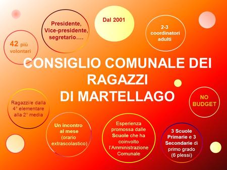 Presidente, Vice-presidente, segretario…. 2-3 coordinatori adulti 42 più volontari NO BUDGET Ragazzi/e dalla 4° elementare alla 2° media Esperienza promossa.