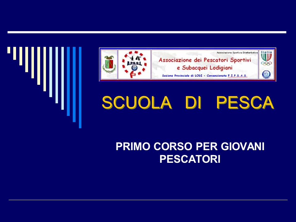 Giovani pesci di tinca sdraiati sulla mano umana pesca come hobby