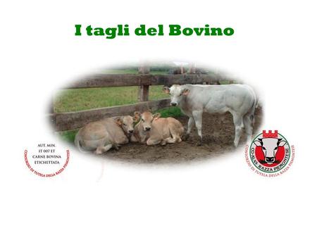 I tagli del Bovino.