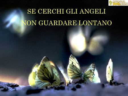 SE CERCHI GLI ANGELI NON GUARDARE LONTANO.