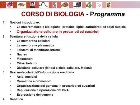 CORSO DI BIOLOGIA - Programma