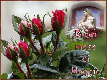Maggio è il mese dedicato alla Madonna,