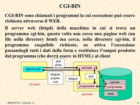 BIOINFO3 - Lezione 111 CGI-BIN CGI-BIN sono chiamati i programmi la cui esecuzione può essere richiesta attraverso il WEB. Il server web (httpd) della.
