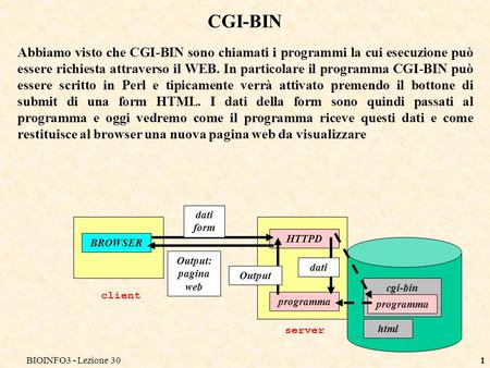 BIOINFO3 - Lezione 301 CGI-BIN Abbiamo visto che CGI-BIN sono chiamati i programmi la cui esecuzione può essere richiesta attraverso il WEB. In particolare.