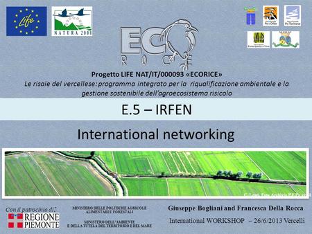 International networking