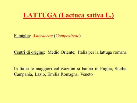LATTUGA (Lactuca sativa L.)