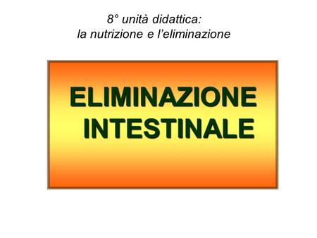 eliminazione intestinale
