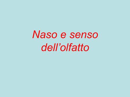 Naso e senso dell’olfatto