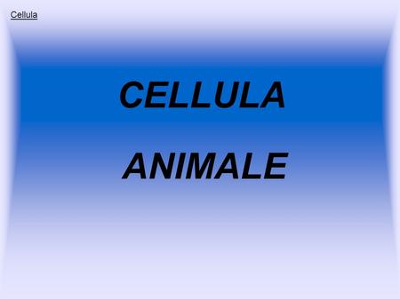 Cellula CELLULA ANIMALE.