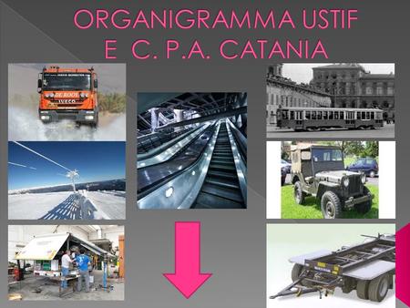 ORGANIGRAMMA USTIF E C. P.A. CATANIA