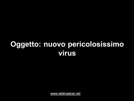 Oggetto: nuovo pericolosissimo virus www.wildmadcat.net.