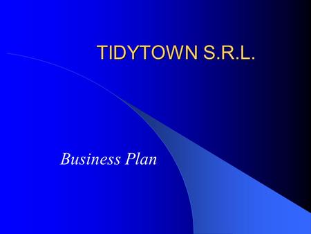 TIDYTOWN S.R.L. Business Plan.