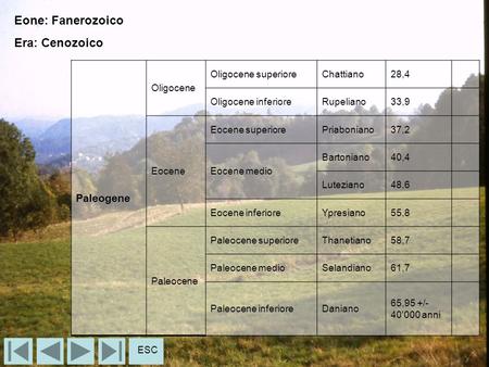 Eone: Fanerozoico Era: Cenozoico Paleogene Oligocene