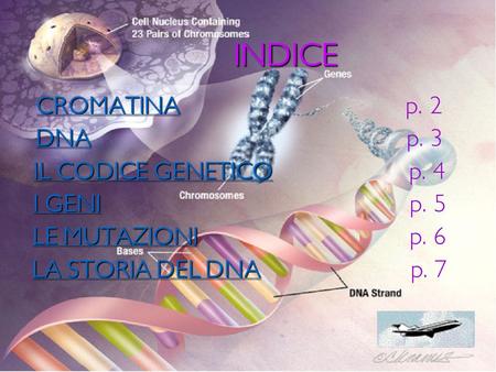 INDICE CROMATINA p. 2 DNA p. 3 IL CODICE GENETICO p. 4 I GENI p. 5