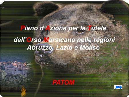 Piano dAzione per la Tutela dellOrso Marsicano nelle regioni Abruzzo, Lazio e Molise PATOM.