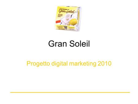 Progetto digital marketing 2010