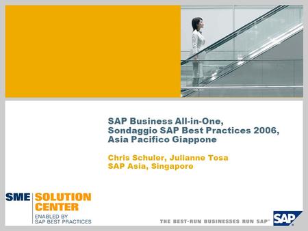SAP Business All-in-One,