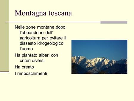 Montagna toscana Nelle zone montane dopo l’abbandono dell’ agricoltura per evitare il dissesto idrogeologico l’uomo Ha piantato alberi con criteri diversi.