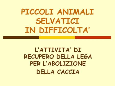 PICCOLI ANIMALI SELVATICI IN DIFFICOLTA’