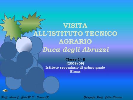 VISITA ALLISTITUTO TECNICO AGRARIO Duca degli Abruzzi Classe 1^ B (2008/09) Istituto secondario di primo grado Elmas Proff. Arisci C.,Collu M.T., Derosas.