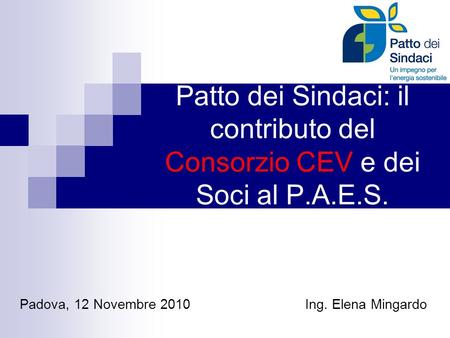 Padova, 12 Novembre 2010 Ing. Elena Mingardo