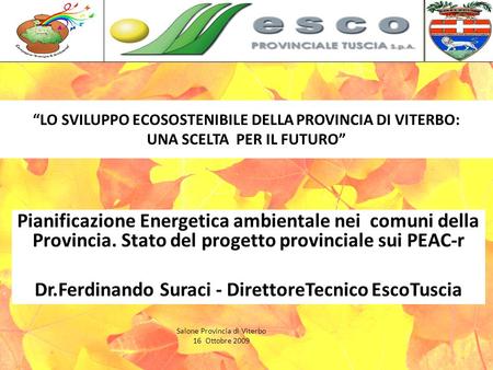 LO SVILUPPO ECOSOSTENIBILE DELLA PROVINCIA DI VITERBO: UNA SCELTA PER IL FUTURO Pianificazione Energetica ambientale nei comuni della Provincia. Stato.