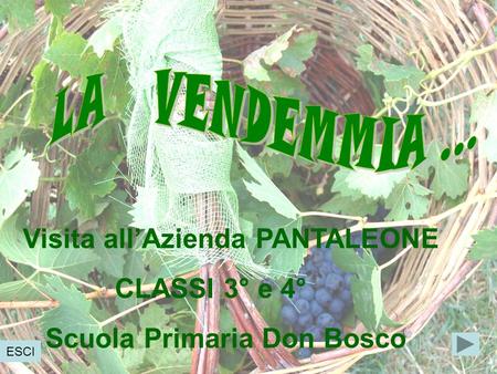 Visita all’Azienda PANTALEONE CLASSI 3° e 4° Scuola Primaria Don Bosco