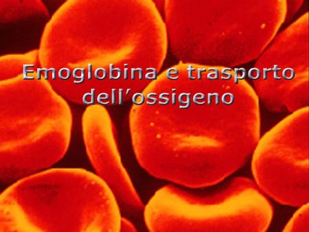 L’emoglobina degli eritrociti è una proteina di trasporto indispensabile per veicolare l’ossigeno e l’anidride carbonica tra i polmoni e i tessuti (Mioglobina,