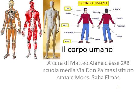 Il corpo umano A cura di Matteo Aiana classe 2ªB scuola media Via Don Palmas istituto statale Mons. Saba Elmas.