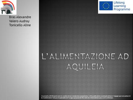 Bras Alexandre Valero Audray Tonicello Aline Ce projet a été financé avec le soutien de la Commission européenne. Cette publication (communication) nengage.