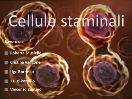Cellule staminali Lavoro di: Roberta Musiello Cristina Vangone
