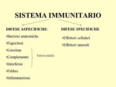 SISTEMA IMMUNITARIO DIFESE ASPECIFICHE: Barriere anatomiche Fagocitosi