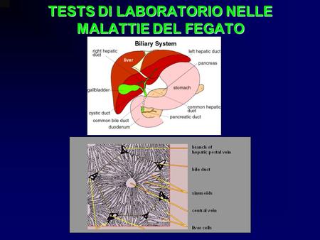 TESTS DI LABORATORIO NELLE MALATTIE DEL FEGATO