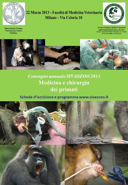 Medicina e chirurgia dei primati