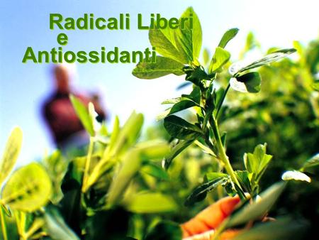 Radicali Liberi e Antiossidanti.