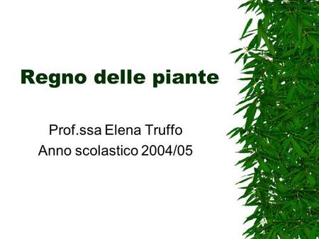 Prof.ssa Elena Truffo Anno scolastico 2004/05