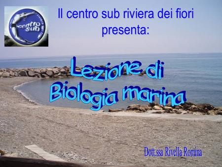 Il centro sub riviera dei fiori presenta: