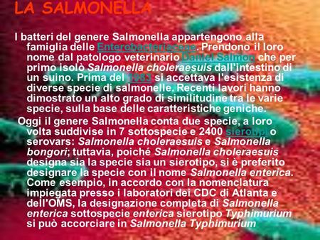 LA SALMONELLA  I batteri del genere Salmonella appartengono alla famiglia delle Enterobacteriaceae. Prendono il loro nome dal patologo veterinario Daniel.