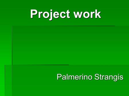 Project work Palmerino Strangis.