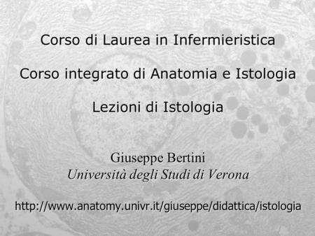 Corso di Laurea in Infermieristica Corso integrato di Anatomia e Istologia Lezioni di Istologia Giuseppe Bertini Università degli Studi di Verona.