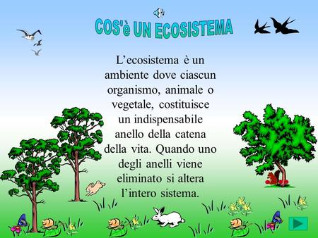 COS'è UN ECOSISTEMA L’ecosistema è un ambiente dove ciascun organismo, animale o vegetale, costituisce un indispensabile anello della catena della vita.