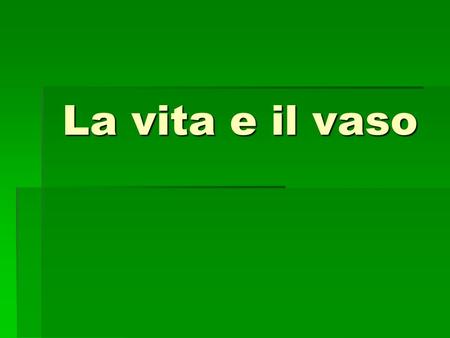 La vita e il vaso.