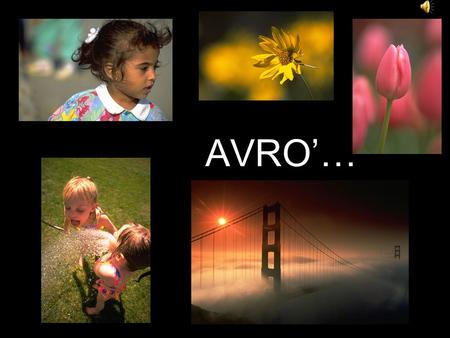 AVRO’….