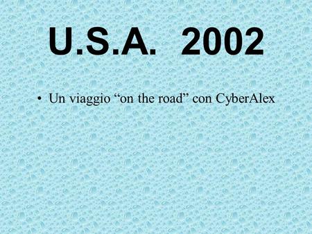 U.S.A. 2002 Un viaggio on the road con CyberAlex.